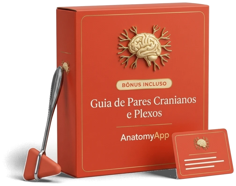 Guia de pares cranianos e plexos